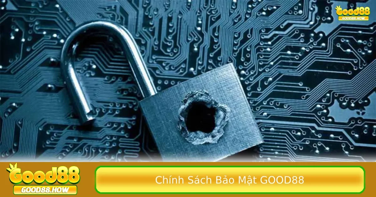 Những dữ liệu cá nhân của người chơi được thu nhập
